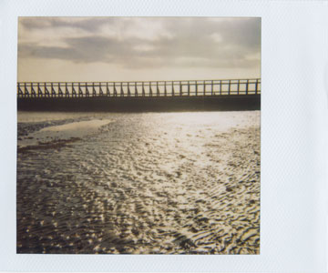 tania boisset : Plage